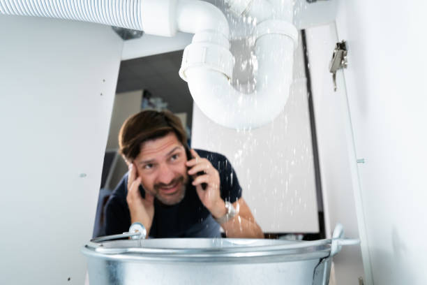Best Leak Detection Services  in Walnut Hill, TN